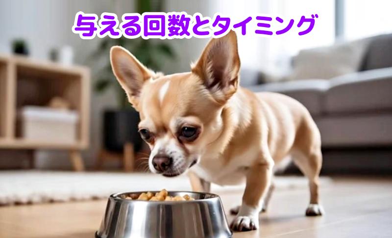 フードを食べる子犬