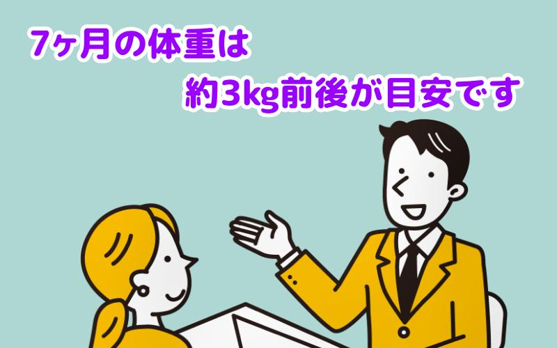 トイプードル7ヶ月の体重は約3kg前後が一つの目安ですと説明する専門家