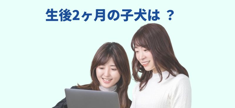 ノートパソコンを囲む笑顔の若い女性 2 人を配置し、上部に「生後2ヶ月の子犬は？」と書かれた青字見出しのバナー画像