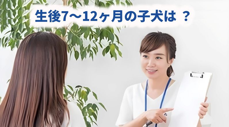 クリップボードを持つ白衣の女性と顧客の相談風景に、上部に「生後7〜12ヶ月の子犬は？」と添えた説明バナー画像