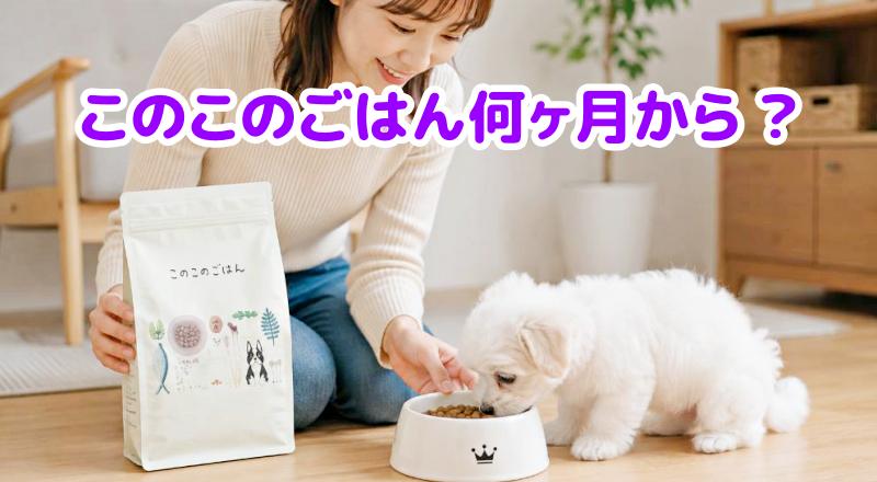 白い小型犬にドッグフードを与える笑顔の女性の横に「このこのごはん」のパッケージを配置し、上部に「このこのごはん何ヶ月から？」と書かれたバナー画像