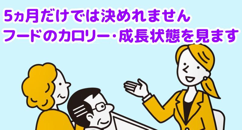 マルチーズの餌の量は5ヵ月だけでは決められませんと言う専門家