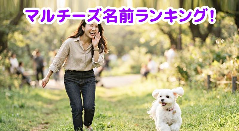 マルチーズの名前を呼ぶ女性