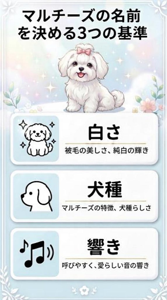 「マルチーズの名前を選ぶ3つの基準」を図解した画像