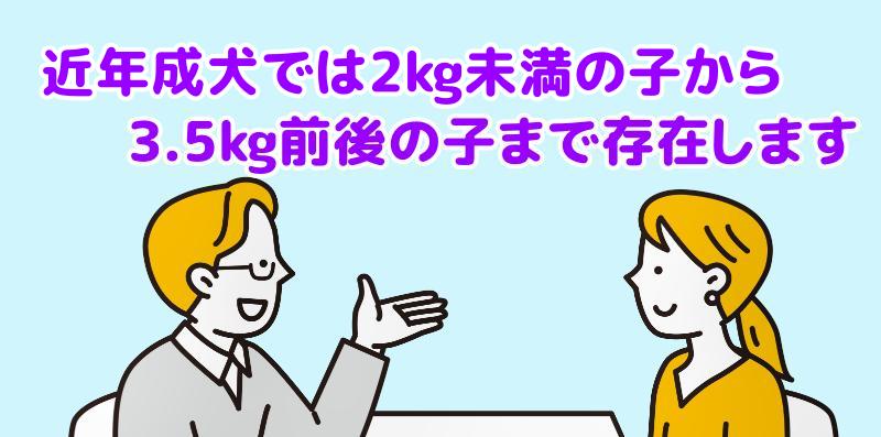 近年の家庭犬では2kg未満の小ぶりな子から、骨格がしっかりとした3.5kg前後の子まで幅広く存在しますと説明する専門家