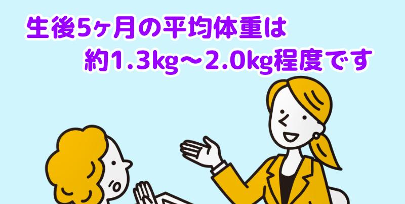 生後5ヶ月のマルチーズの平均（目安）体重は、約1.3kg〜2.0kg程度ですと言う専門家
