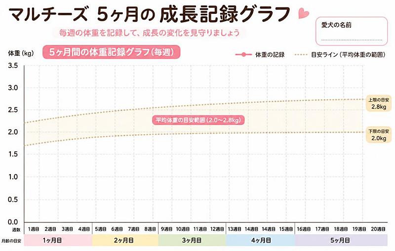 マルチーズ5ヶ月の体重を毎週記録する「成長記録グラフ」の図