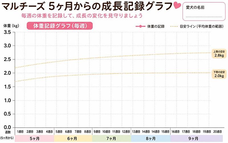 マルチーズ5ヶ月目以降の体重を毎週記録する「成長記録グラフ」の図
