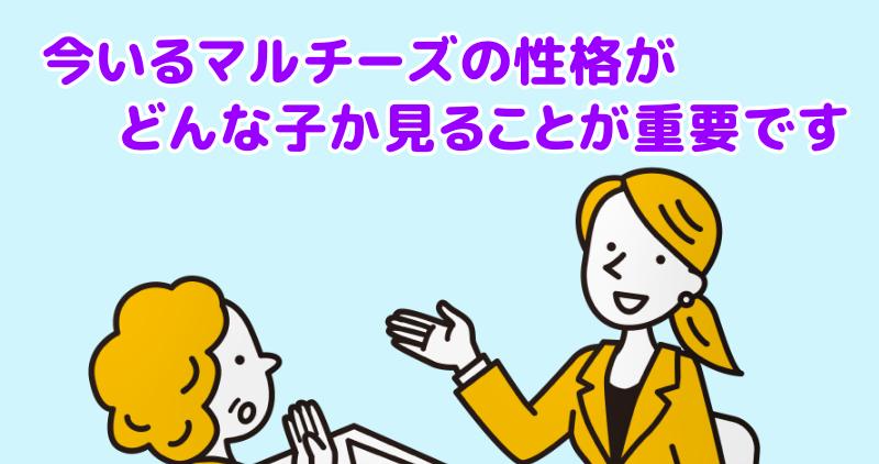 「マルチーズ同士なら仲良くできる」という考え方ではなく、今いるマルチーズがどのような性格なのかを見ることが重要ですと言う専門家