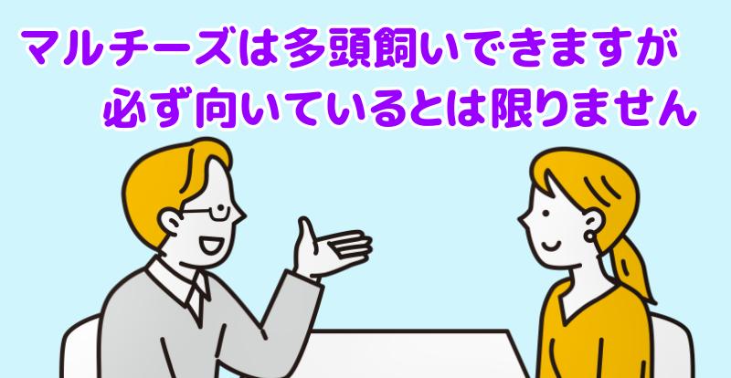 マルチーズは多頭飼いができる犬種ですが、「マルチーズだから必ず多頭飼いに向いている」とは言えませんと言う専門家