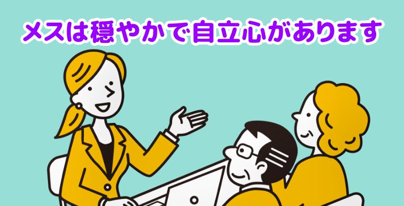 メスのトイプードルは穏やかで自立心があると説明する専門家