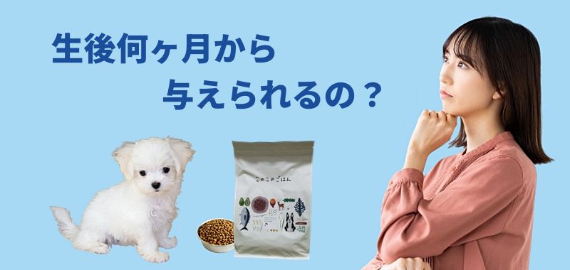 白い子犬、「このこのごはん」のパッケージ、ボウルに入ったフード、考えるポーズの若い女性を配置し、上に「生後何ヶ月から与えられるの？」と書かれたバナー