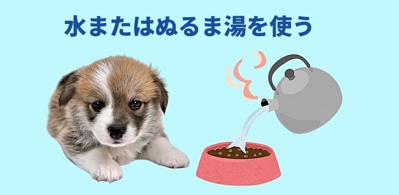 子犬とやかんからドッグフードのボウルに湯を入れるイラストに、上部に「水またはぬるま湯を使う」と書かれた水色背景の解説バナー