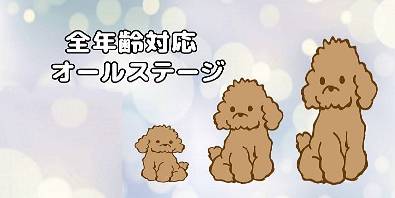 小型・中型・大型犬の3サイズが並ぶイラストに、白文字で「全年齢対応 オールステージ」と書かれたトイプードル用バナー画像