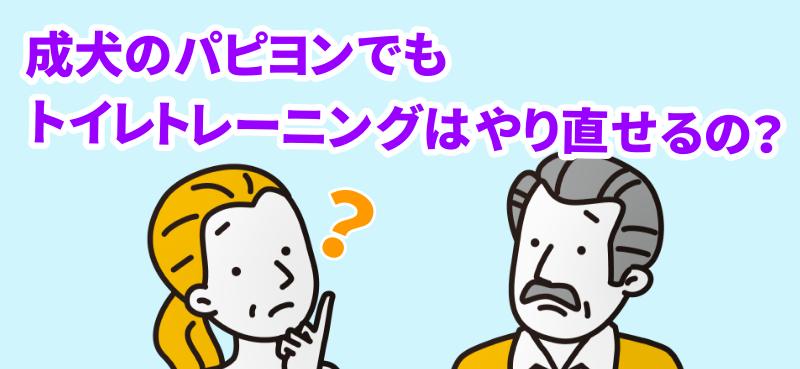 成犬でもトイレトレーニングをやり直すことは可能なのと言う男女