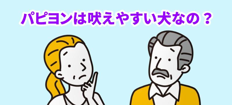パピヨンはなぜ吠えやすい犬なのと言う男女の様子