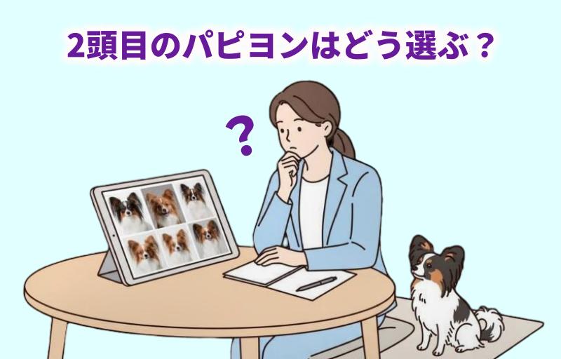 2頭目のパピヨンはどう選ぶか迷っている女性のイラスト