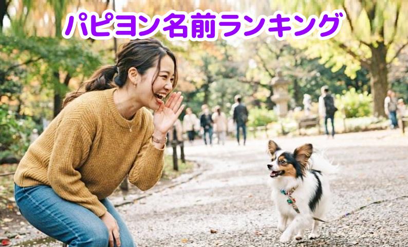 パピヨンの名前を呼ぶ女性