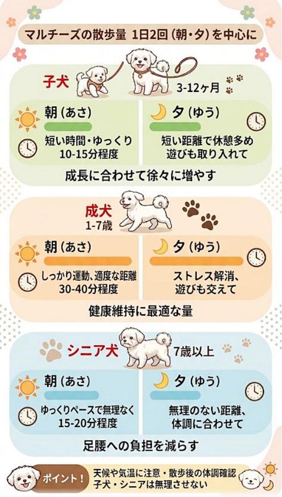 「朝・夕の1日2回」を中心に、子犬・成犬・シニアで散歩量を調整するイメージ図