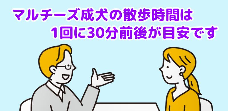 マルチーズ成犬の散歩時間は1回30分前後が目安ですと説明する専門家