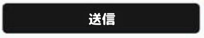 送信ボタン