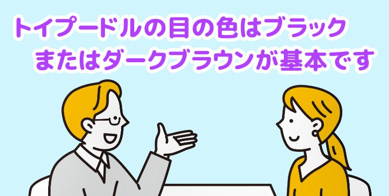 トイプードルの目の色はブラックまたはダークブラウンが基本ですと説明する専門家