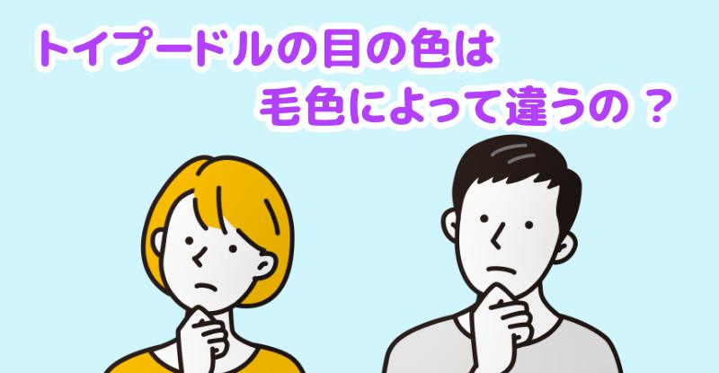 トイプードルの目は毛色によって違うのですかと言う男女