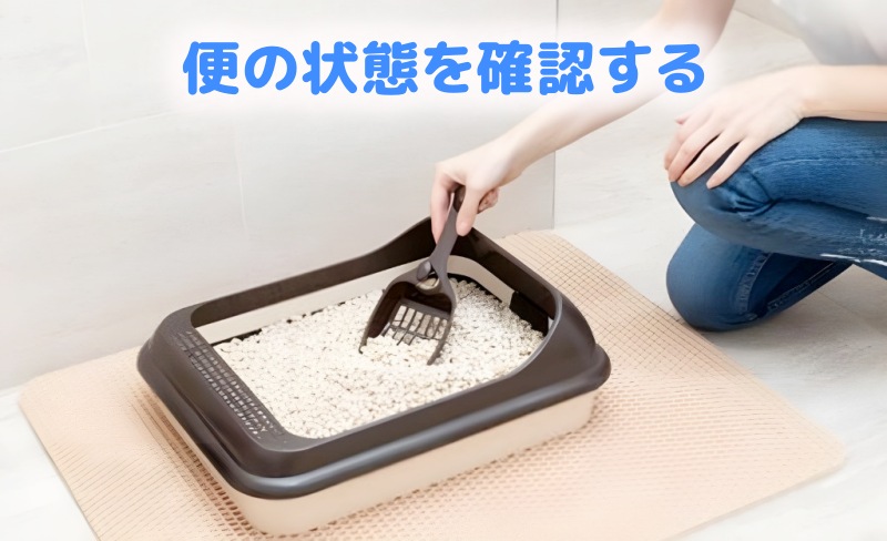 犬のトイレトレー