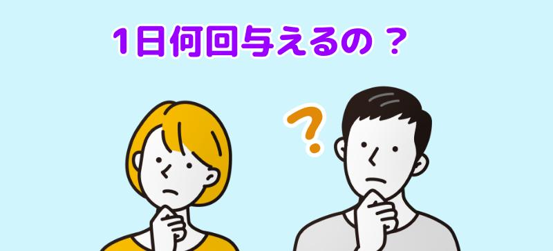 パピヨンは1日何回餌を与えるの？と言う男女