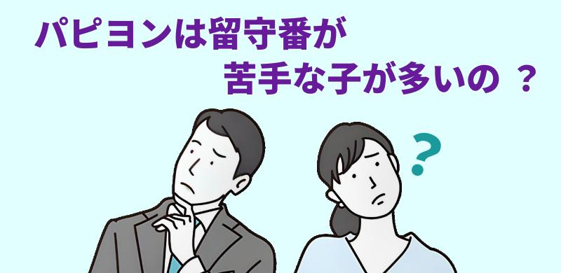 パピヨンは留守番が苦手な子が多いのと言う男女