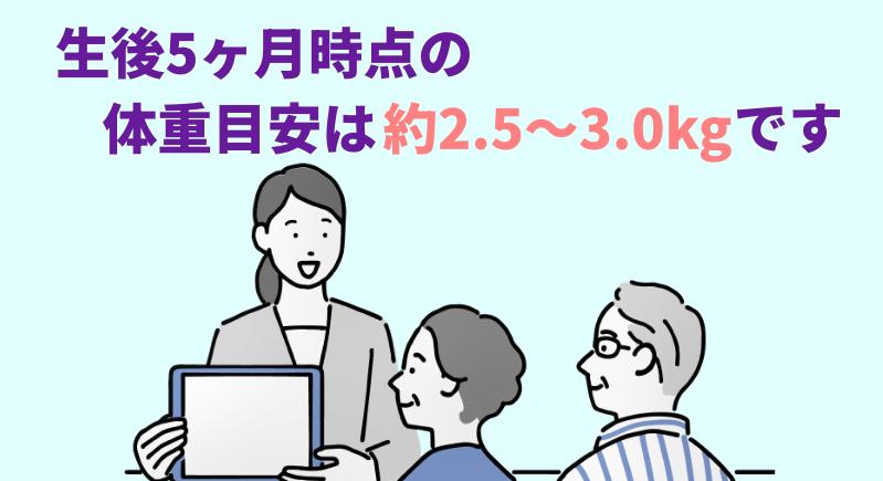 パピヨンの生後5ヶ月時点の体重目安は約2.5〜3.0kgですと言う専門家