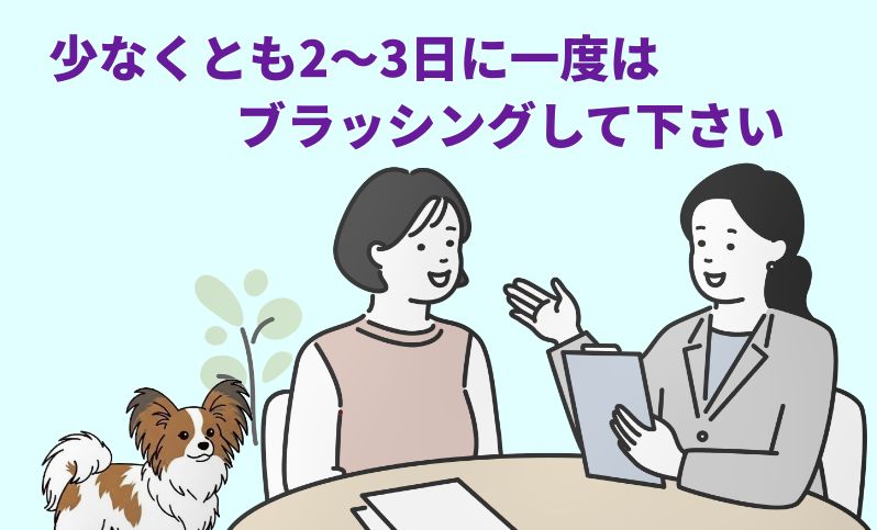 少なくとも2～3日に一度はブラッシングをして下さいと言う専門家