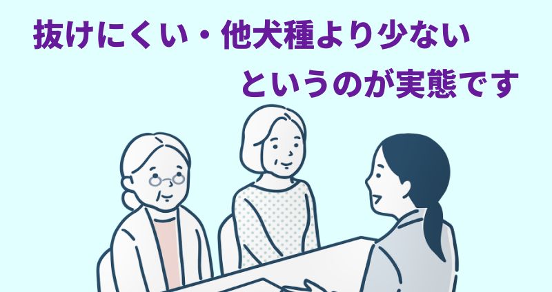 正しくは「抜けにくい」「他犬種より少ない」というのが実態ですと言う専門家