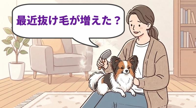 ブラシで抜け毛の手入れをする女性のイラスト、