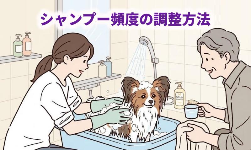 パピヨンを自宅でシャンプーしているイラスト