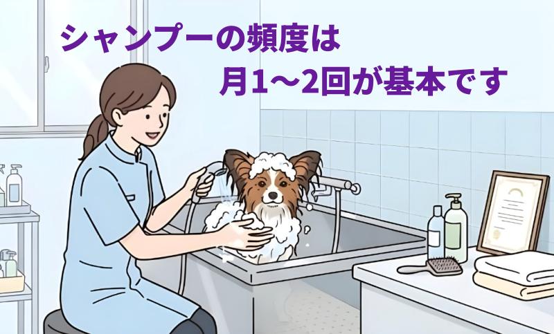 パピヨンをシャンプーしているイラスト