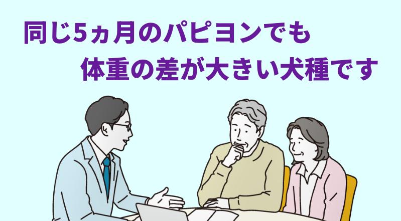 同じ5ヵ月のパピヨンでも体重の差が大きい犬種ですと言う専門家