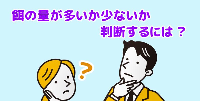 パピヨンの餌の量が多いか少ないか判断する方法と言う男女
