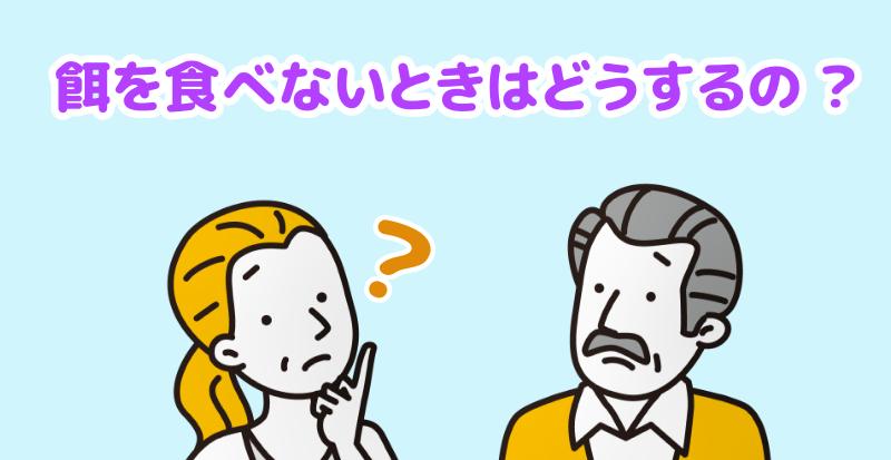 パピヨンが餌を食べないときはどうするの？と言う男女
