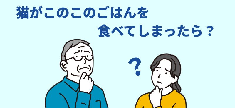 猫がこのこのごはんを食べてしまったら？と言う男女のイラスト