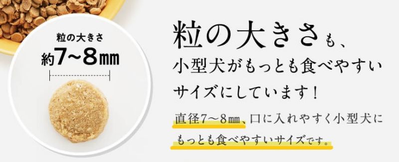 粒のサイズの説明画像