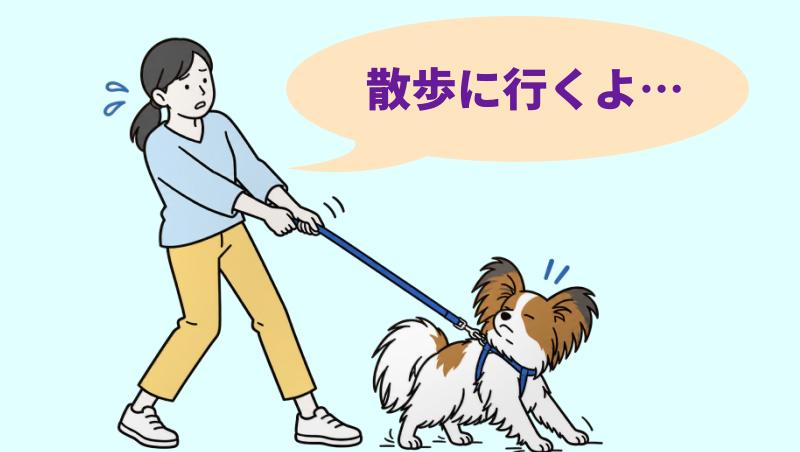 散歩を嫌がっているパピヨンのイラスト