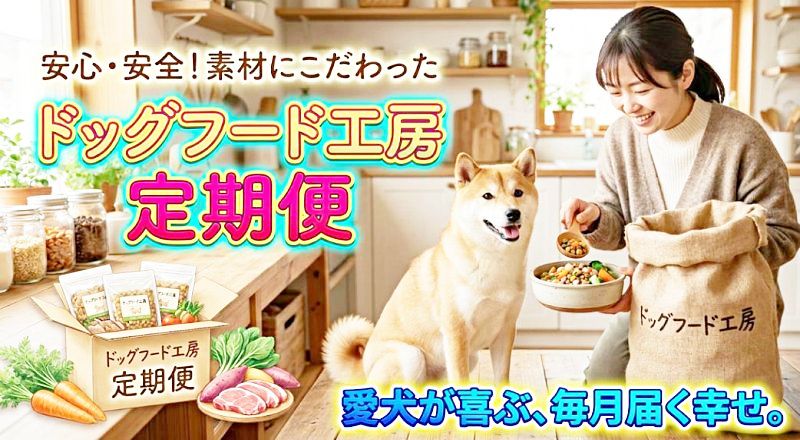 「安心・安全!素材にこだわった ドッグフード工房 定期便」というテキストと、愛犬にごはんを与える女性のアイキャッチ画像