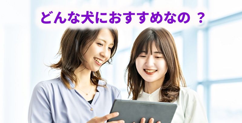 ドッグフードはどんな犬におすすめか、タブレットを見ながら話し合う2人の女性