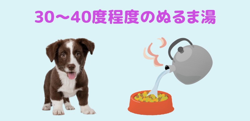 ドッグフードをふやかす際のお湯の温度(30〜40度程度のぬるま湯)を解説するイメージ画像