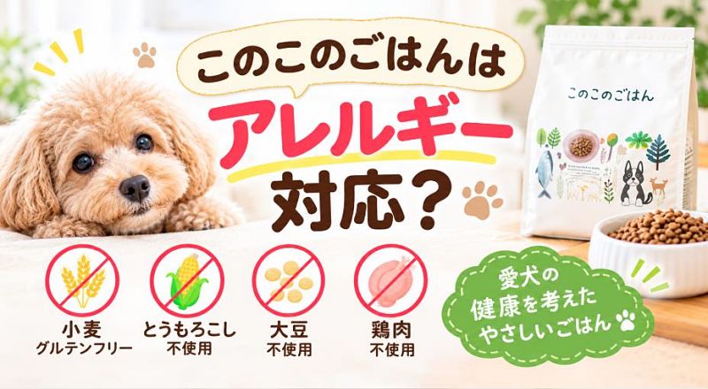 トイプードルが見つめる横に「このこのごはんはアレルギー対応?」の文字。小麦・とうもろこし・大豆・鶏肉を使わない、愛犬の健康を考えたドッグフード「このこのごはん」のパッケージとフード皿