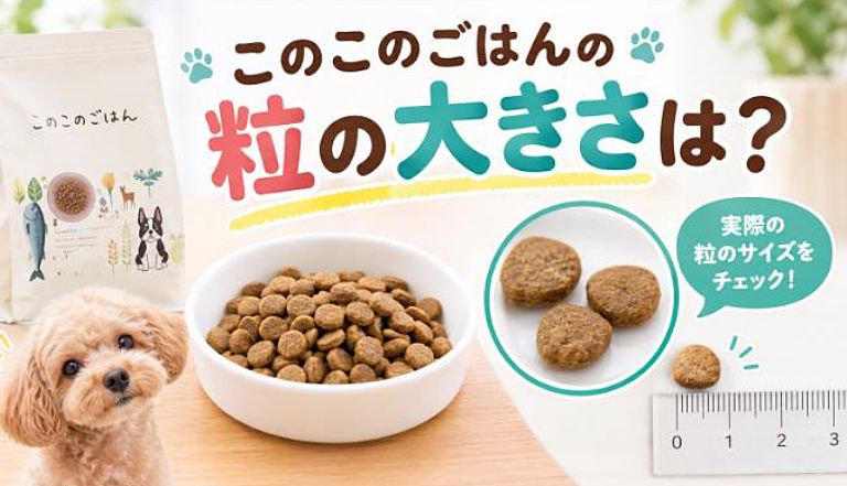 このこのごはんの粒の大きさや形、食べやすさを定規で比較・チェックするアイキャッチ画像