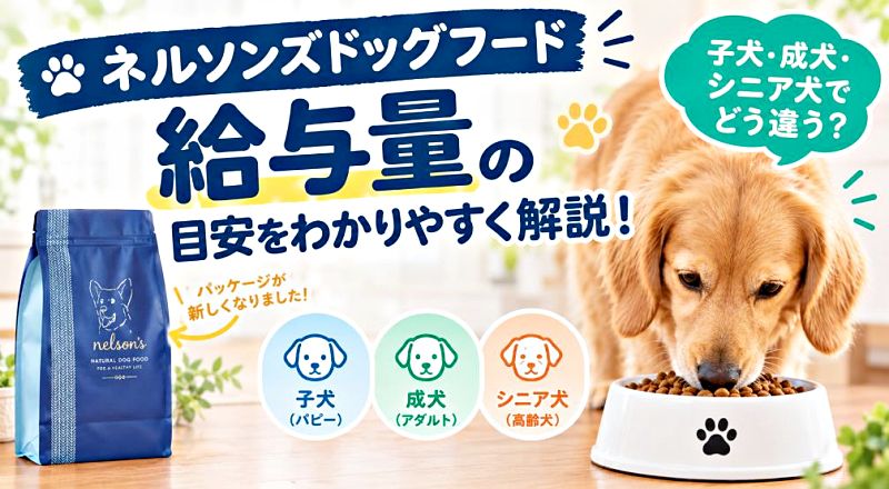 「ネルソンズドッグフード給与量の目安をわかりやすく解説!」というテキストと、フードを食べる犬のアイキャッチ画像