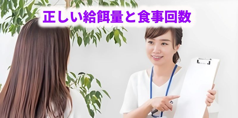 正しい給餌量と食事回数を解説する、カウンセリング・相談風景の画像
