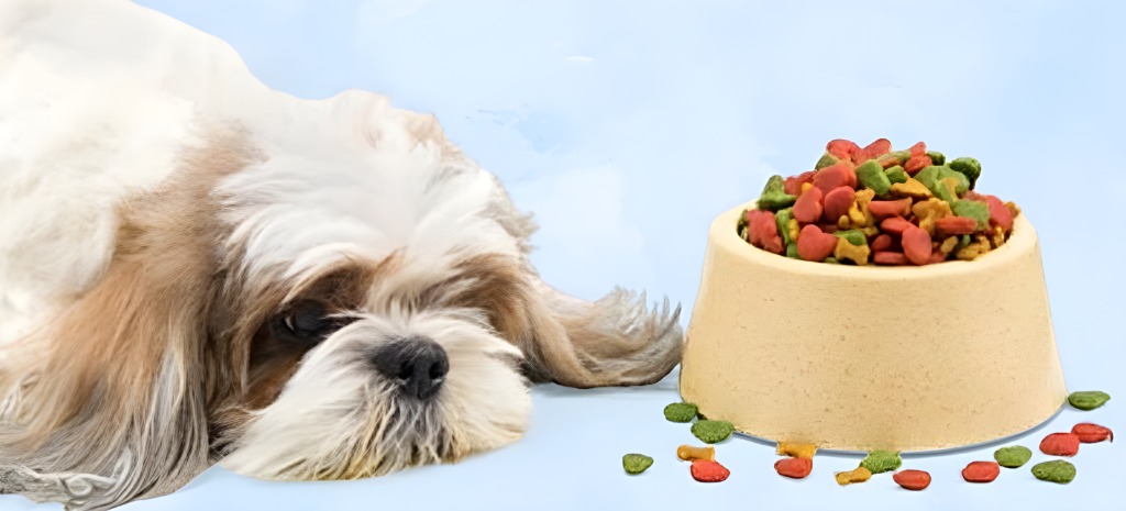 フードを食べない犬の画像